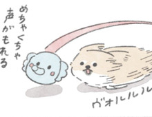 「ゾウボール」…それはむっくを狂わせる魅惑のおもちゃ。【うちのむっくはいつも楽しそう#2】