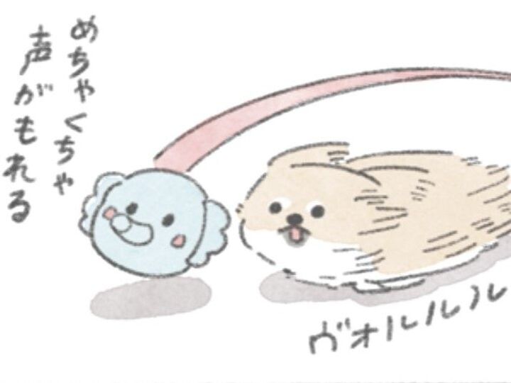 「ゾウボール」…それはむっくを狂わせる魅惑のおもちゃ。【うちのむっくはいつも楽しそう#2】