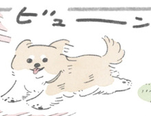 これをやらなきゃ気が済まない！ドッグラン大好きなむっくが必ずやること。【うちのむっくはいつも楽しそう#4】