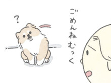 お散歩に行きたい犬がそこにいる…。雨の日のむっくのお話。【うちのむっくはいつも楽しそう#6】
