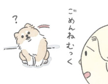 お散歩に行きたい犬がそこにいる…。雨の日のむっくのお話。【うちのむっくはいつも楽しそう#6】