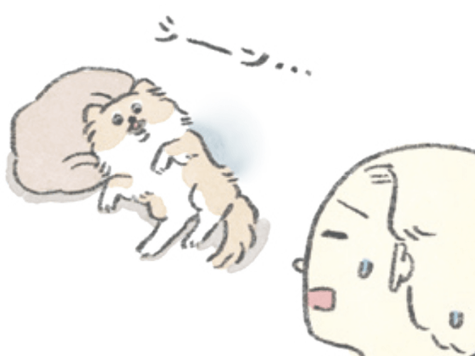 人間2＋おいぬ1。むっくにとってそれぞれどんな存在？【うちのむっくはいつも楽しそう#5】
