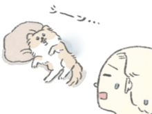 人間2＋おいぬ1。むっくにとってそれぞれどんな存在？【うちのむっくはいつも楽しそう#5】