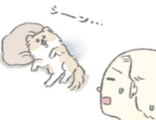 人間2＋おいぬ1。むっくにとってそれぞれどんな存在？【うちのむっくはいつも楽しそう#5】