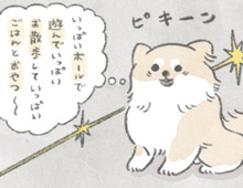 「ボール」「遊んで」「お散歩」「ごはん」むっくの大好きが詰まった誕生日！【うちのむっくはいつも楽しそう#10】