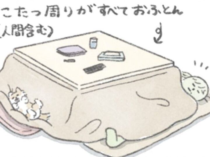 こたつを愛する心は犬も人間も一緒。布団を撤去したらこうなった。【うちのむっくはいつも楽しそう#7】