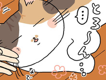 夏の特等席はやっぱりここよね。【てらねこミー子の日常】