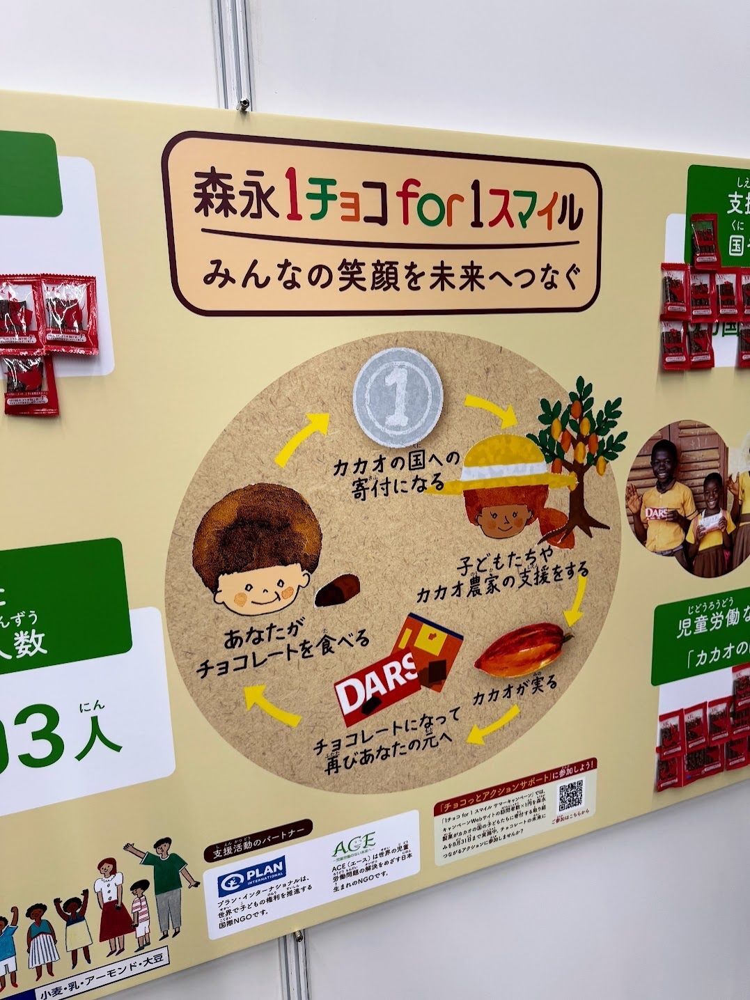 カカオの国への簡単な寄付も体験