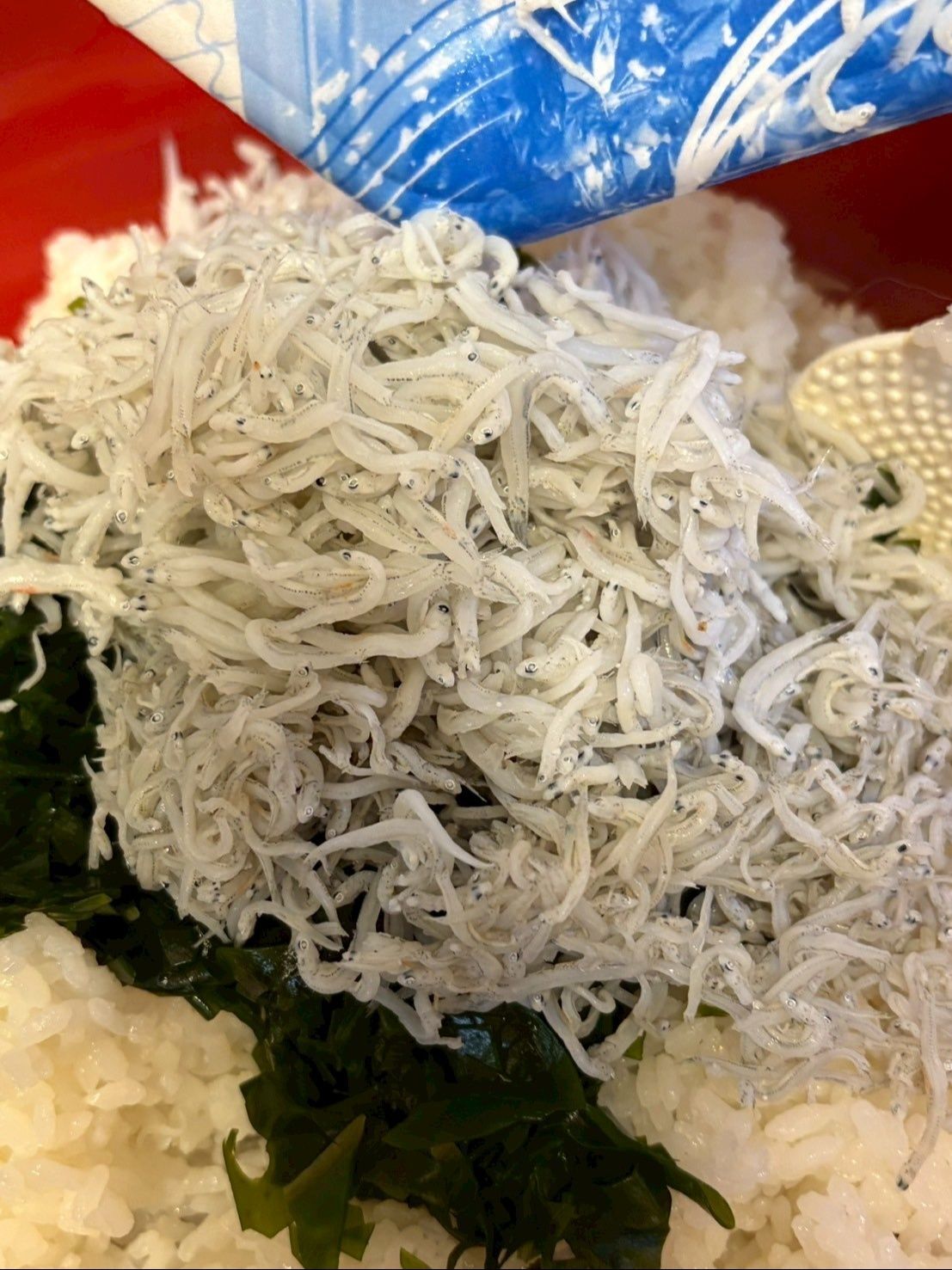 ご飯にワカメを乗せて、上からシラスをどっさりかけで混ぜ合わせます