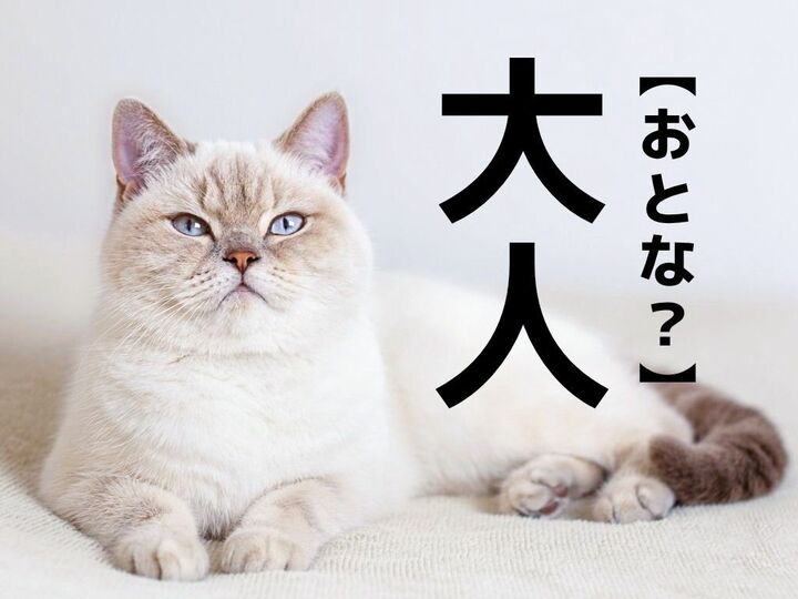 【大人】=「おとな」ではありません!「大人1000円、小人500円」の読み方知ってる?【意外と知らない漢字クイズ】