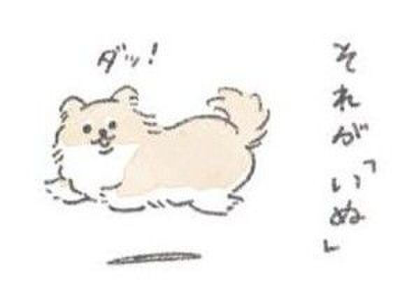 うちのむっくはいつも可愛い。【うちのむっくはいつも楽しそう】