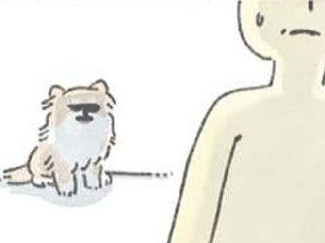 散歩に行きたい犬が、そこにいる。【うちのむっくはいつも楽しそう】