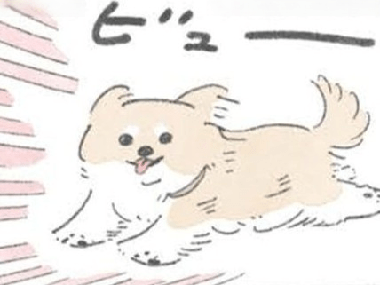 「あいつ走ってるぜ！」元気すぎて気持ちがいい。【うちのむっくはいつも楽しそう】