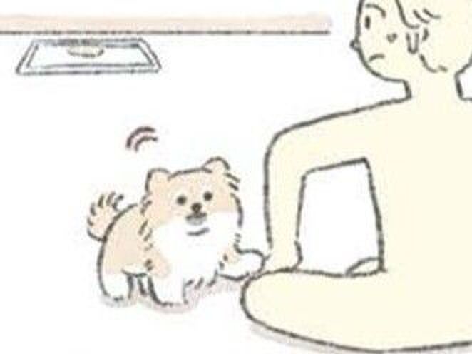 毎回おやつがもらえるわけじゃ、ないんだよ?【うちのむっくはいつも楽しそう】