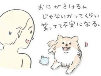 うちのむっくが笑いすぎてて不安になる！【うちのむっくはいつも楽しそう】