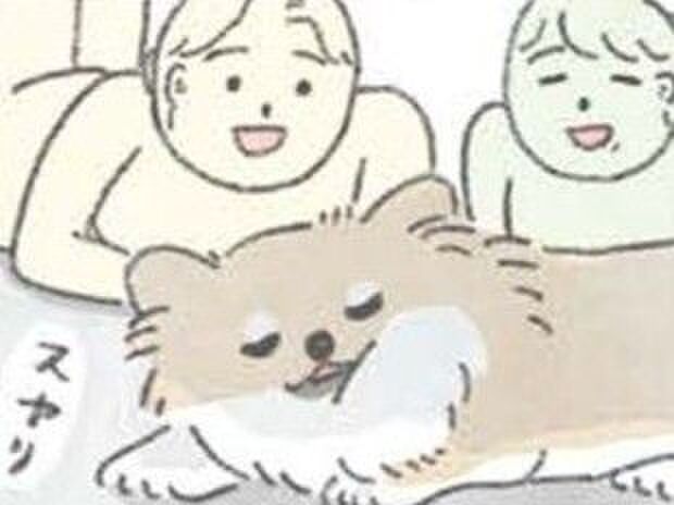 布団を撤去したらこうなった。【うちのむっくはいつも楽しそう】
