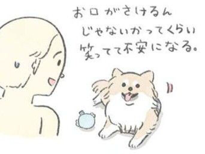 誕生日のむっくは目がギンギン!【うちのむっくはいつも楽しそう】