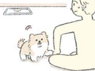 毎回おやつがもらえるわけじゃ、ないんだよ？【うちのむっくはいつも楽しそう】