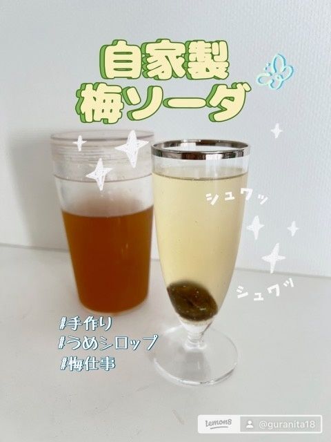 夏の梅仕事（うめしごと）でウメシロップ作りました！