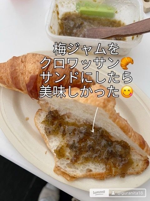 シロップを作った残りものから『青梅の果肉ジャム』作りました！
