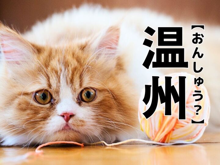 【温州】を「おんしゅう」と読んだら笑われる!?【読めないと恥ずかしい漢字クイズ】