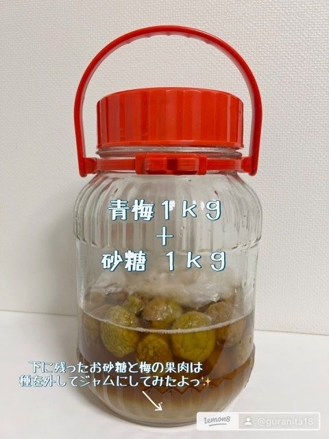 青梅を砂糖に浸ける