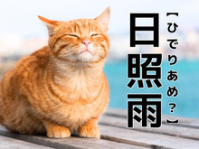 【日照雨】なんて読む？「ひでりあめ」以外の読み方知ってますか？別名『狐の嫁入り』と呼ばれています【漢字クイズ】