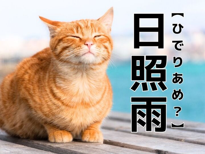 【日照雨】なんて読む?「ひでりあめ」以外の読み方知ってますか?別名『狐の嫁入り』と呼ばれています【漢字クイズ】