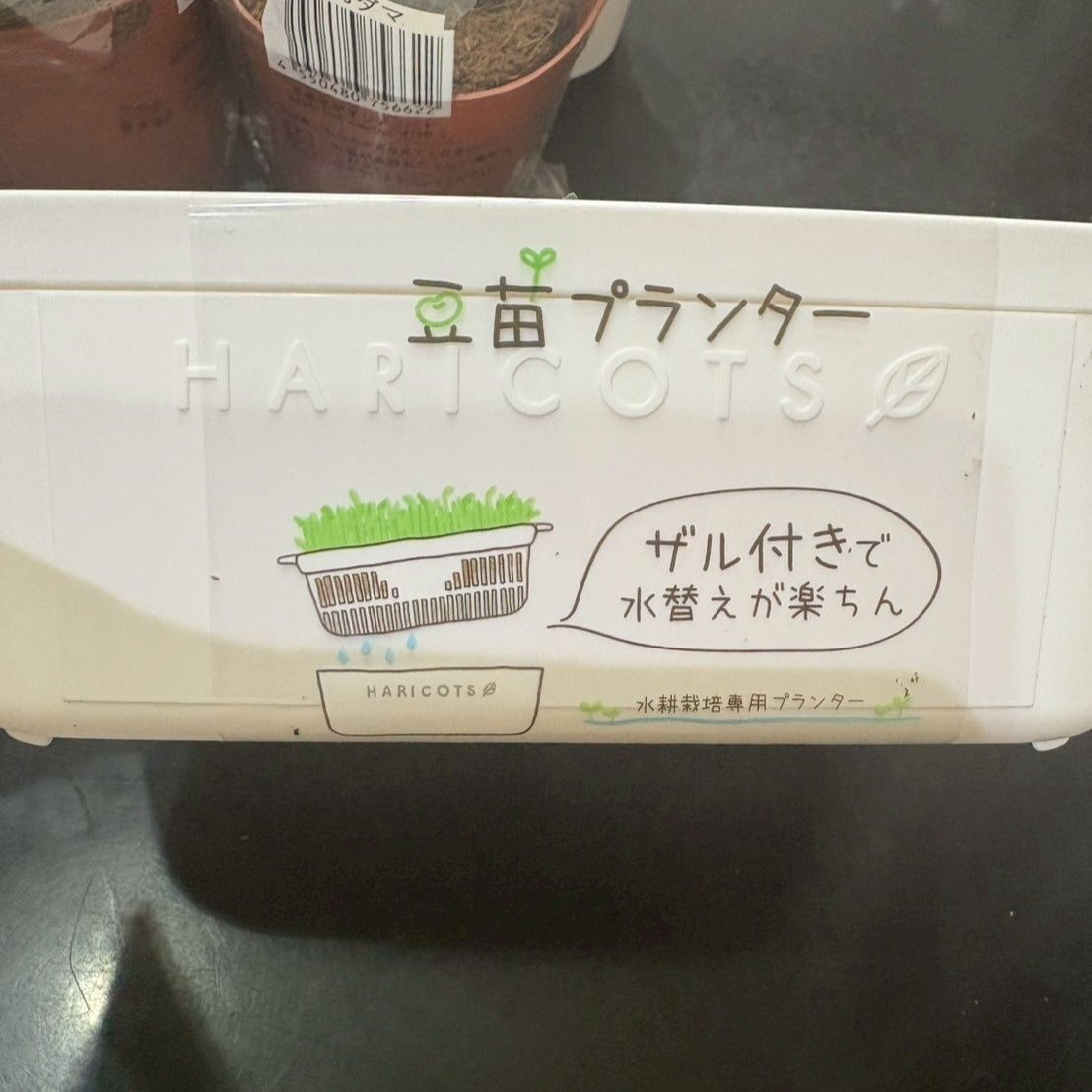こんなのを売っていました！