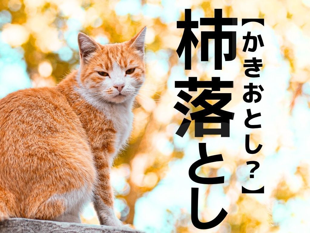 【杮落とし】は「かきおとし」ではありません！なんて読む？【読めそうで読めない漢字クイズ】