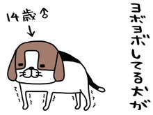 ヨボヨボしてる犬のやりきった感がかわいすぎる…！うちの愛犬「梅吉」は14歳。【パンダと犬#1】