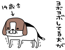 ヨボヨボしてる犬のやりきった感がかわいすぎる…！うちの愛犬「梅吉」は14歳。【パンダと犬#1】