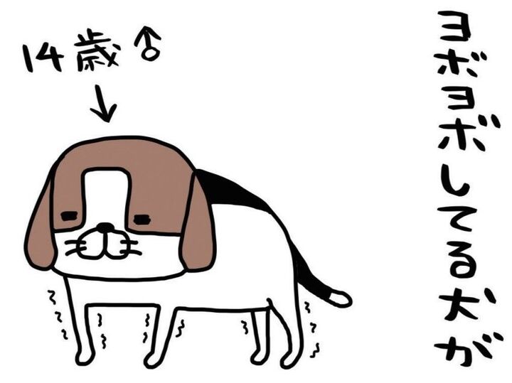 ヨボヨボしてる犬のやりきった感がかわいすぎる…!うちの愛犬「梅吉」は14歳。【パンダと犬#1】