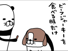 普段はおっとり。何をされても怒らない老犬なのに…。食事の時だけ野生の本性むき出しに！【パンダと犬#2】