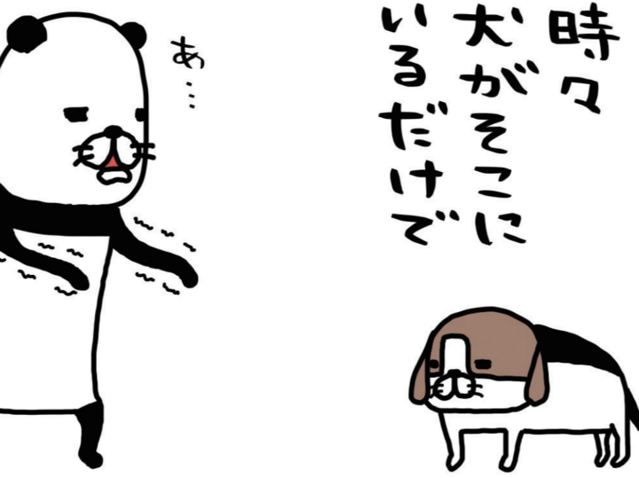 「犬がそこにいるだけでかわいくて仕方ない症候群」を発症→全然伝わってないけどかわいいんです。【パンダと犬#10】