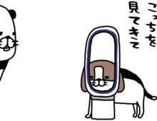 「どうゆうこと？」毎日起こるサプライズ。梅吉の予想外の行動がかわいすぎて幸せ♡【パンダと犬#11】