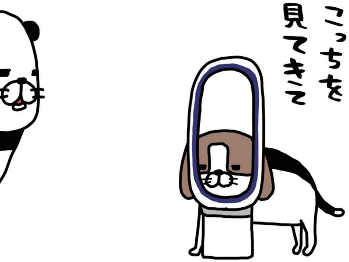 「どうゆうこと?」毎日起こるサプライズ。梅吉の予想外の行動がかわいすぎて幸せ♡【パンダと犬#11】