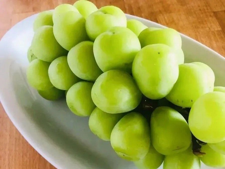 「ぶどう」を買ったらすぐやること！最初にやると美味しさが長持ち♪