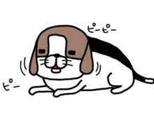 進化する梅吉の〈鼻ピーピー〉。かわいすぎるおねだりに、いろんな事が手につきません。【パンダと犬#8】