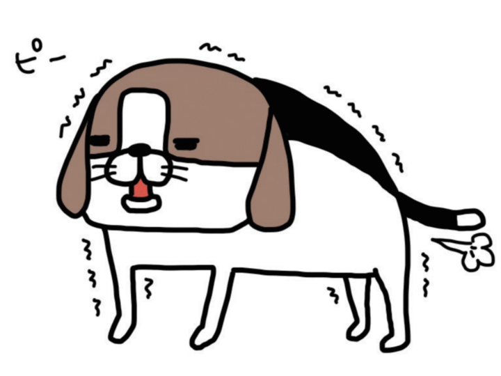 「ピンポイントで踏んでくる犬かわいい。」老犬・梅吉が愛おしすぎて何をされても許せる。【パンダと犬#5】