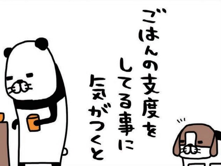 ヨボヨボしながらも…犬の喜び方は変わらない。震えるほどかわいい梅吉(14歳)。【パンダと犬#18】