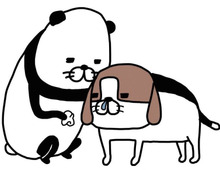 それじゃ鼻水拭けないよ…？老犬・梅吉の小さな抵抗がかわいすぎる…！【パンダと犬#12】