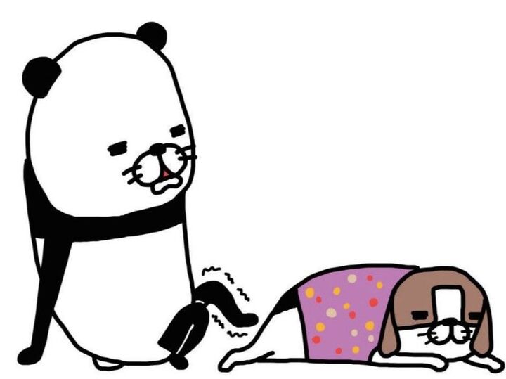 「素足で失礼します」犬と犬の洋服の間の神秘…何とも言えない愛おしさを感じる瞬間。【パンダと犬#16】