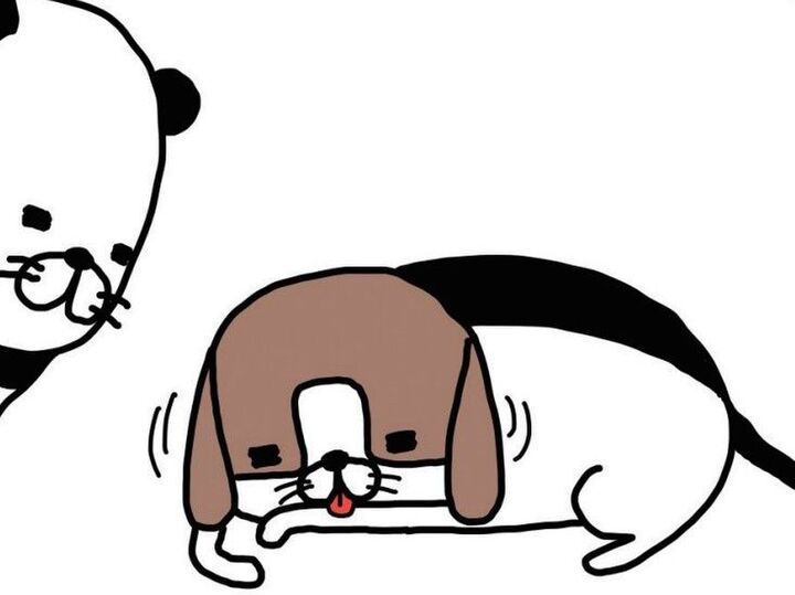 「あったかいぬかわいい」梅吉の前足ペロペロに自分の手をまぜてみたら…【パンダと犬#13】