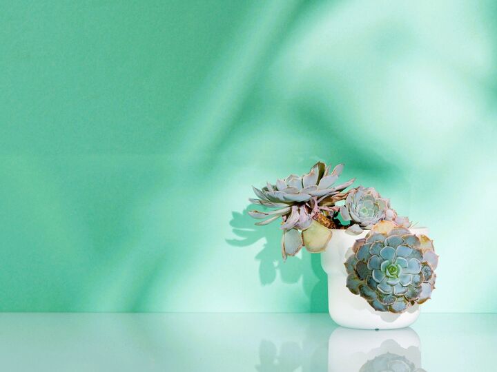 8月17日(日)今日は3つの吉日が重なるラッキーデー!朝いちばんにやるといいコトがありますよ♪