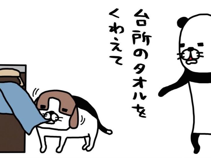 ちっちゃいいたずらに妨害行為。14歳の老犬の無邪気さがたまらなくかわいい♡【パンダと犬#15】