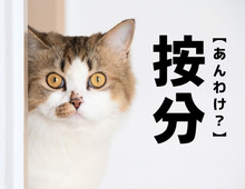 【按分】＝「あんわけ」ではありません。意味まで知ってたら物知り名人！【読めそうで読めない漢字クイズ】