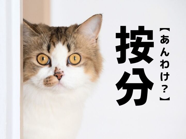 【按分】=「あんわけ」ではありません。意味まで知ってたら物知り名人!【読めそうで読めない漢字クイズ】