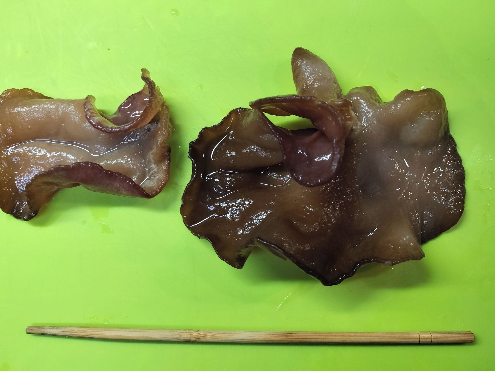 1. 生きくらげを食べやすい大きさに切る