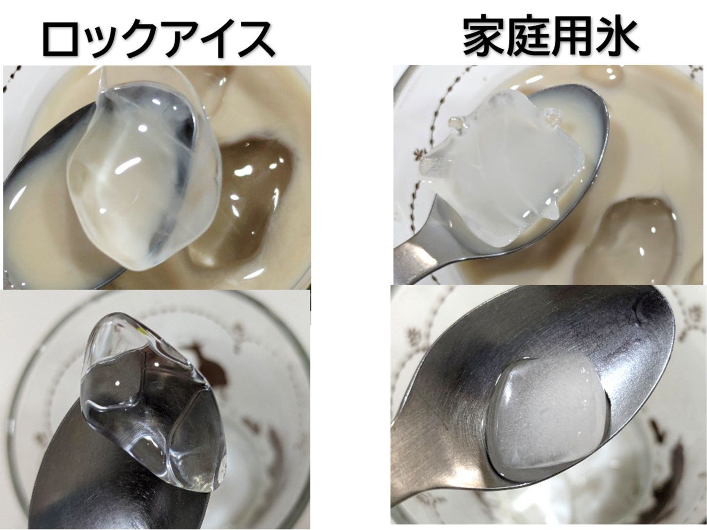 ロックアイスvs家庭用氷　比較すると…